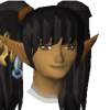 elej avatar