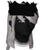 evxi avatar
