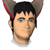 kire667 avatar