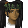 littlewing avatar