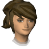 novaefox avatar